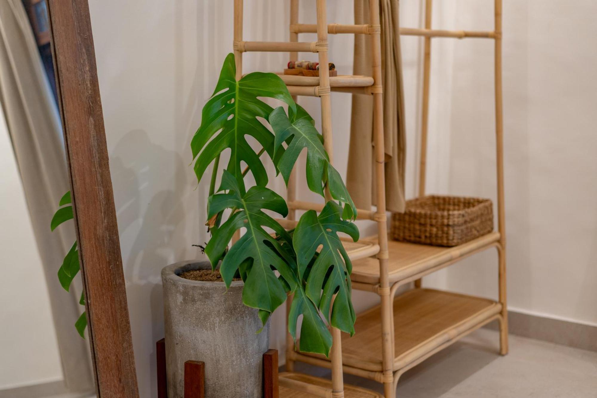 Cozy Up Villa Sanur 外观 照片